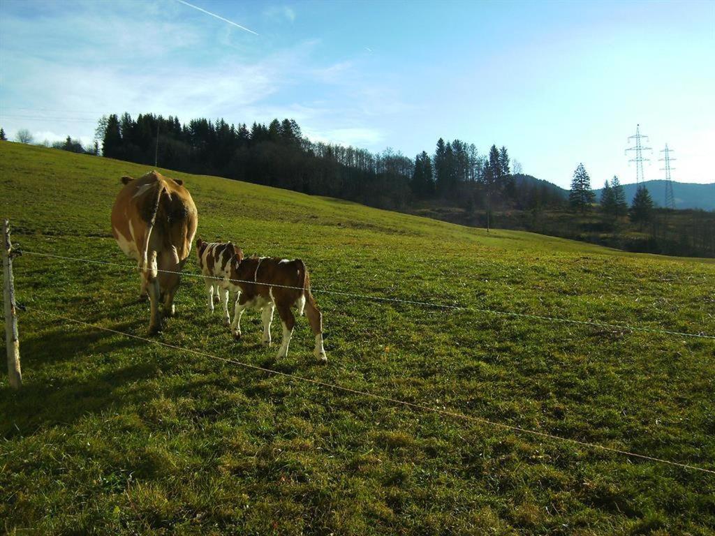 Bauernhof Schranbachhof